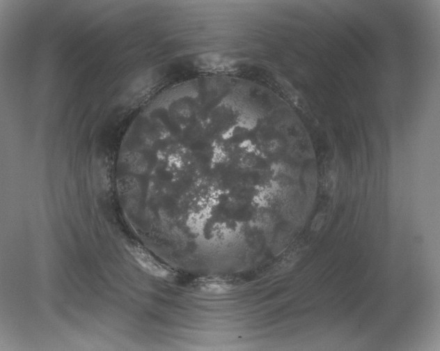 X0000081610658200701151406