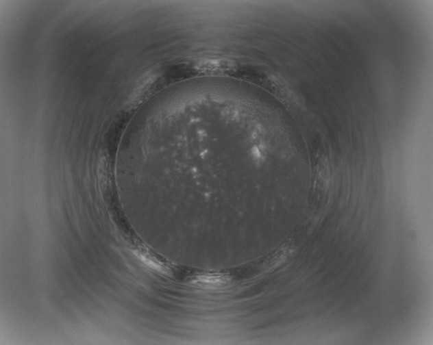 X0000081610659200701151406