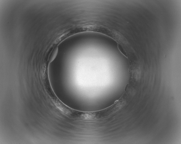 X0000081610660200701151406