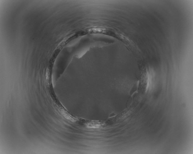 X0000081610661200701151407