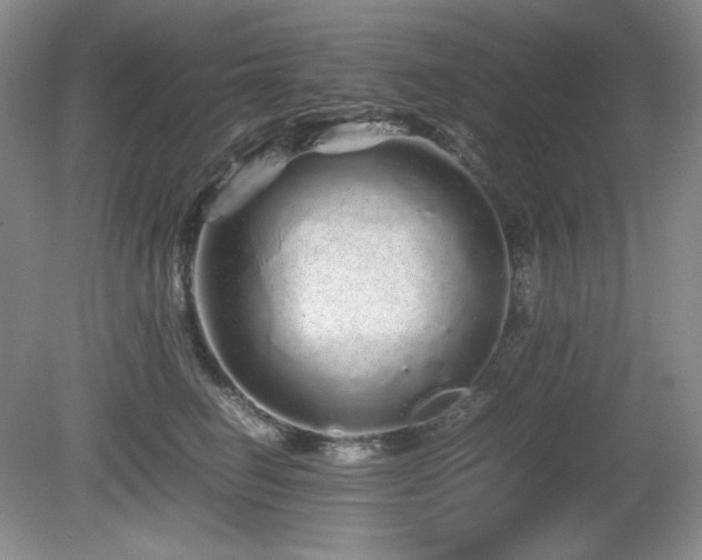 X0000081610662200701151407