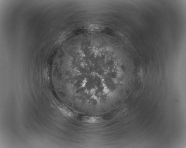 X0000081610663200701151407