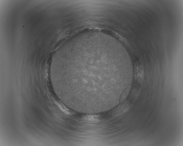 X0000081610664200701151407