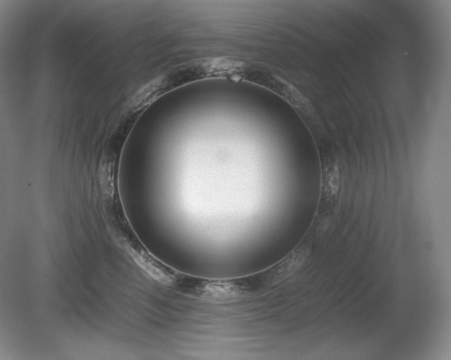 X0000081610666200701151407