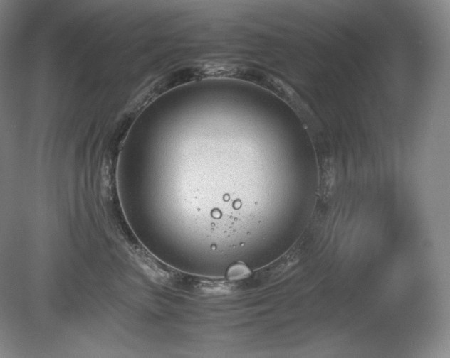 X0000081610667200701151407