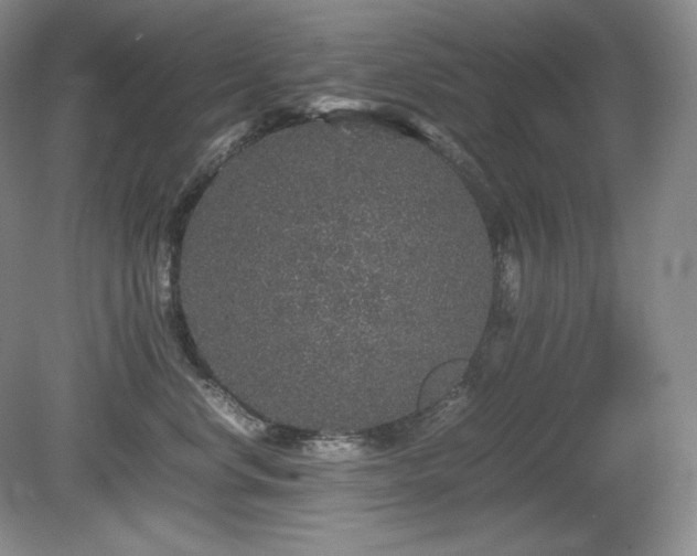 X0000081610668200701151407