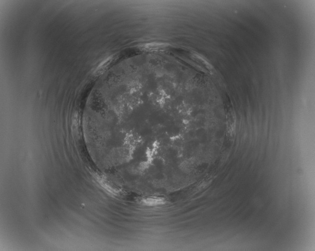 X0000081610669200701151407