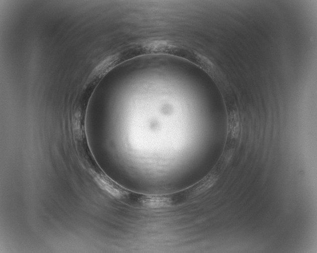 X0000081610670200701151407