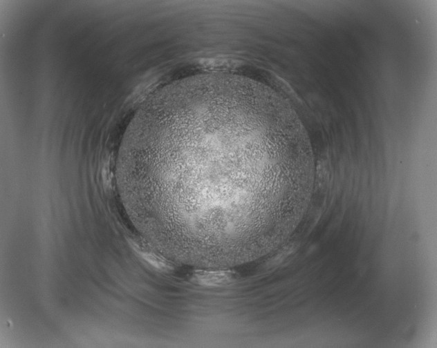 X0000081610671200701151407