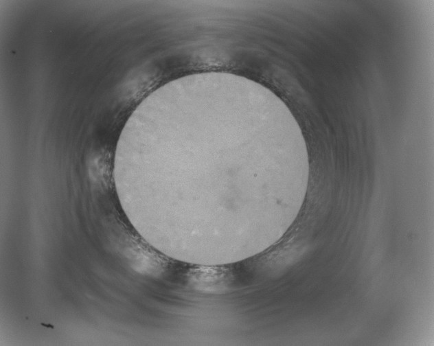 X0000081610672200701151407