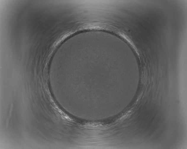 X0000081610673200701151406