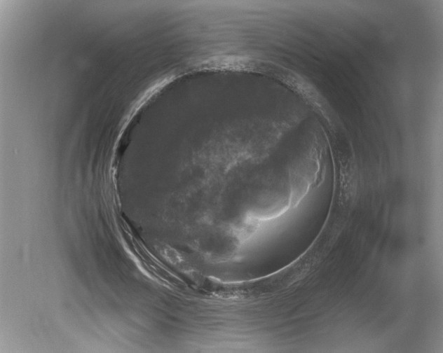 X0000081610674200701151406