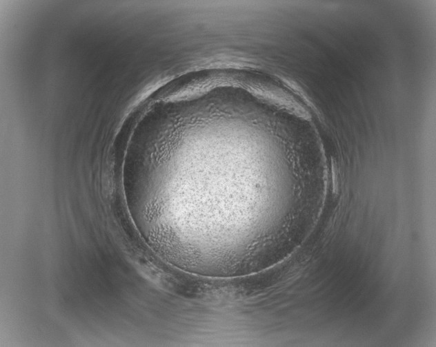 X0000081610675200701151406