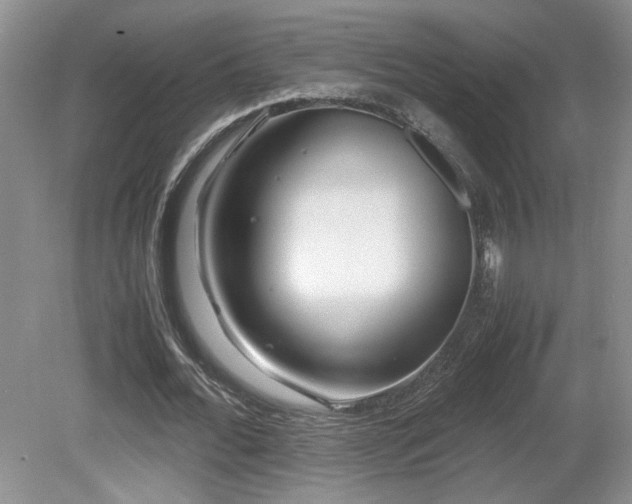 X0000081610676200701151406