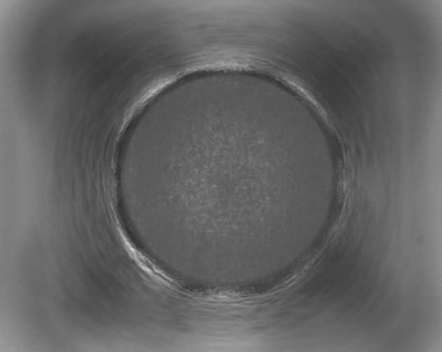 X0000081610677200701151406