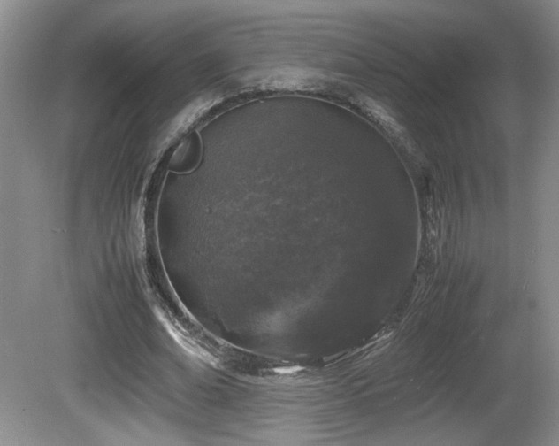 X0000081610678200701151406