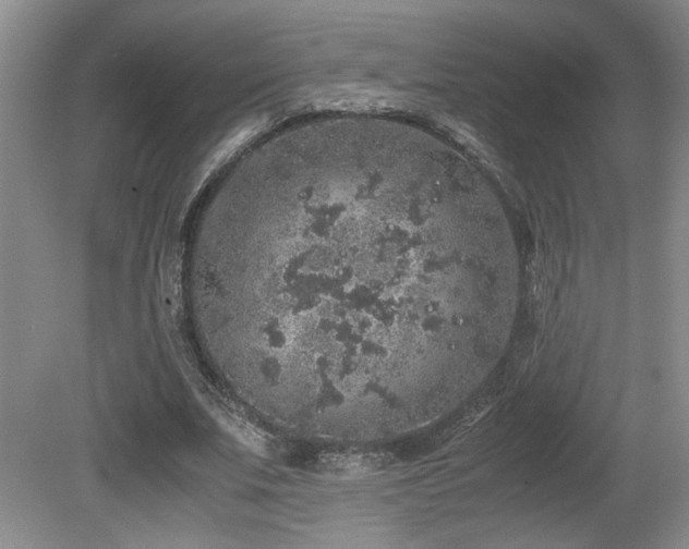 X0000081610679200701151406