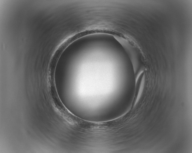 X0000081610680200701151406