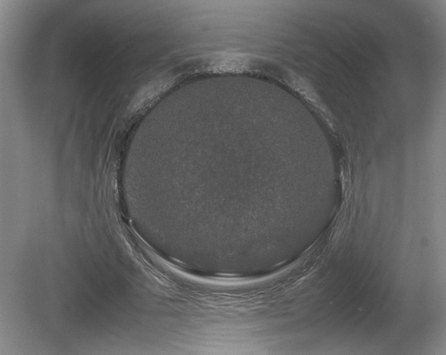 X0000081610681200701151406