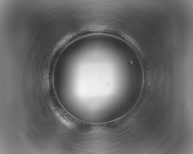 X0000081610682200701151406