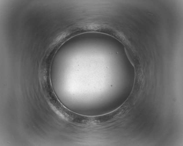 X0000081610683200701151406