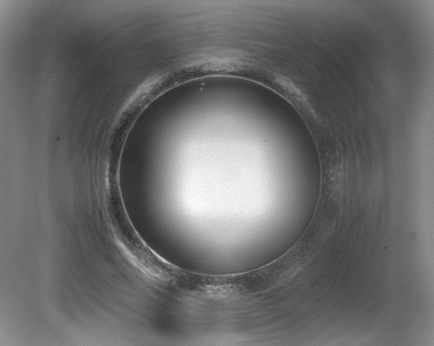 X0000081610686200701151406