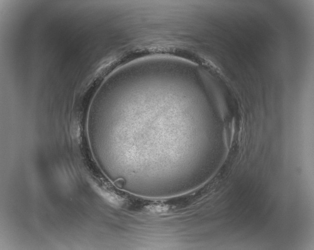 X0000081610687200701151406