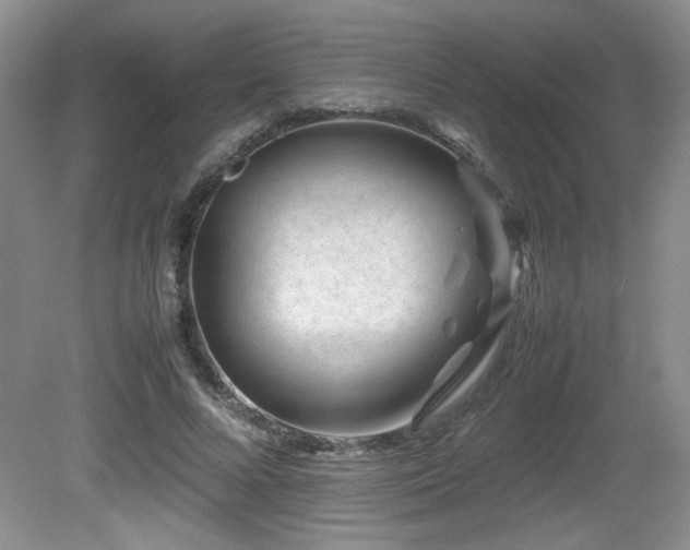 X0000081610688200701151406