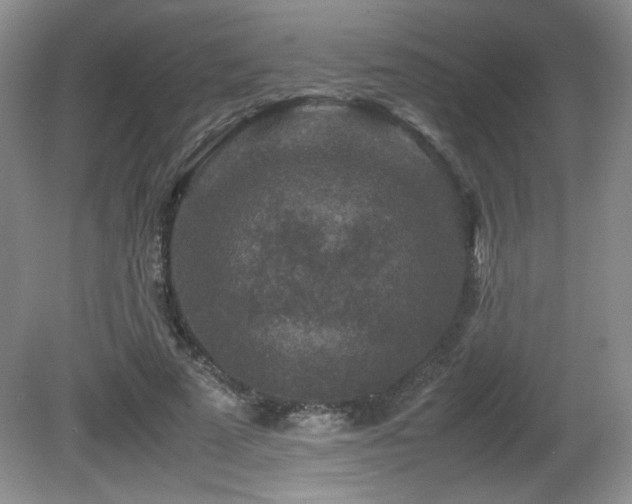 X0000081610689200701151406