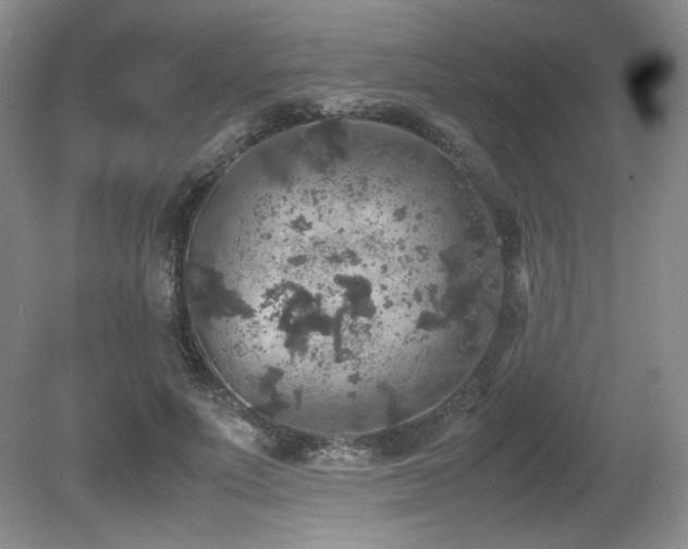 X0000081610691200701151406