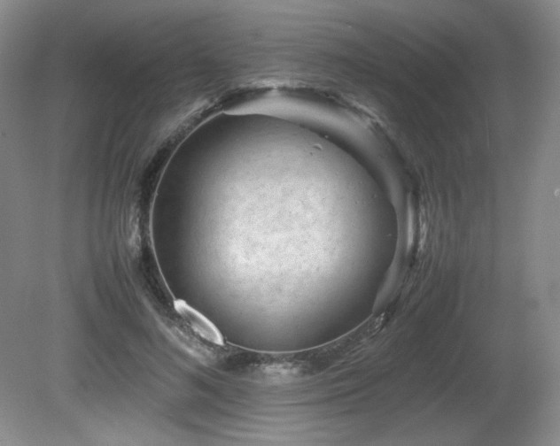 X0000081610692200701151406