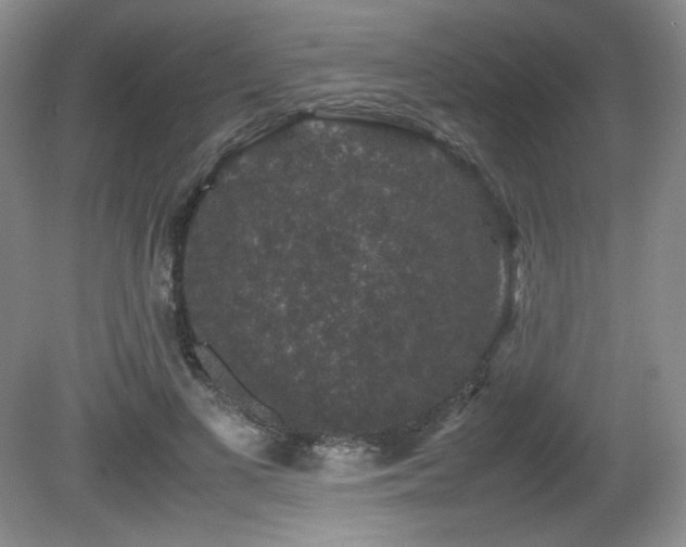 X0000081610693200701151406