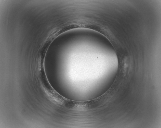 X0000081610694200701151406