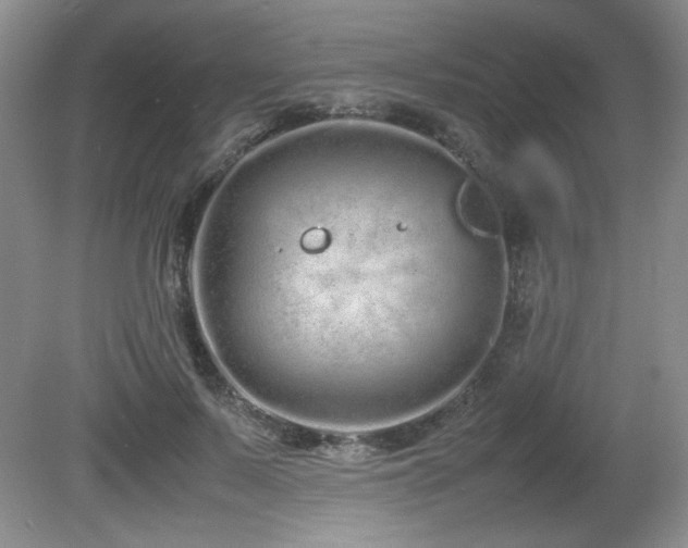 X0000081610695200701151406