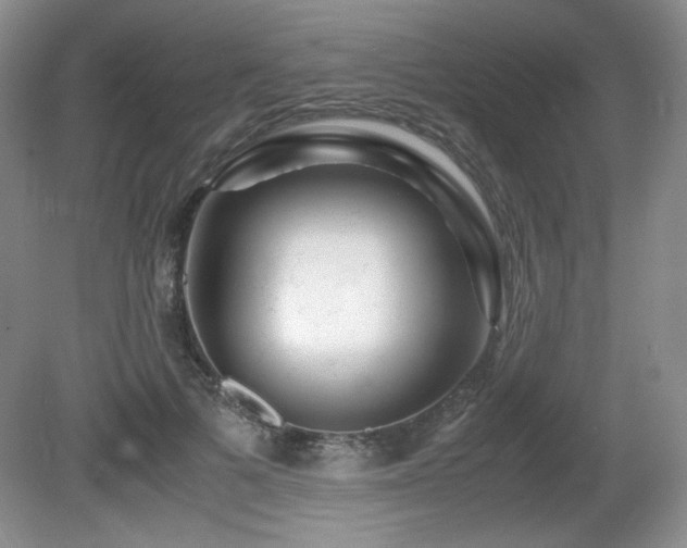 X0000081610697200701151405