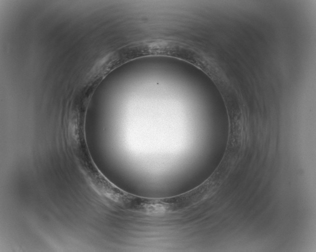 X0000081610698200701151405