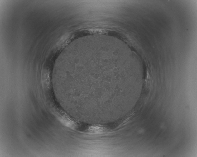 X0000081610699200701151405