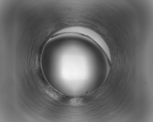 X0000081610700200701151405