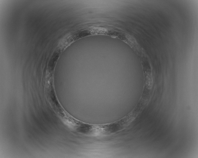 X0000081610701200701151405