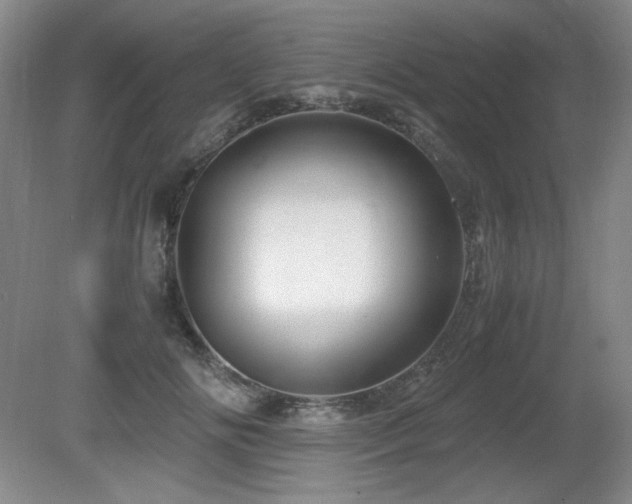 X0000081610702200701151405