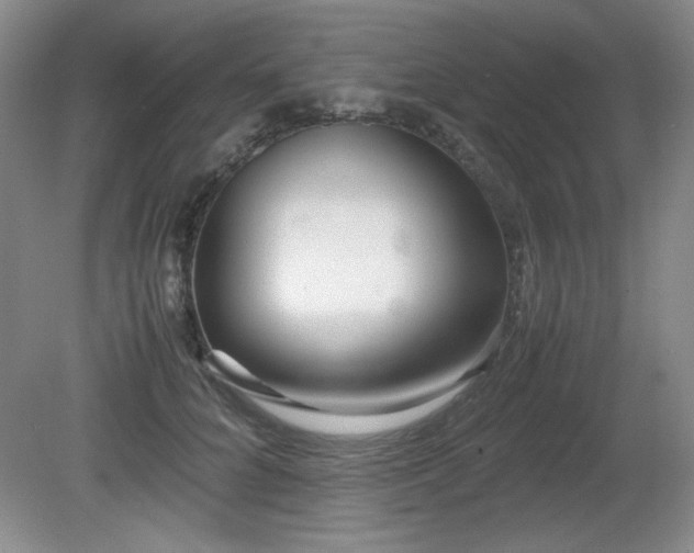 X0000081610704200701151405