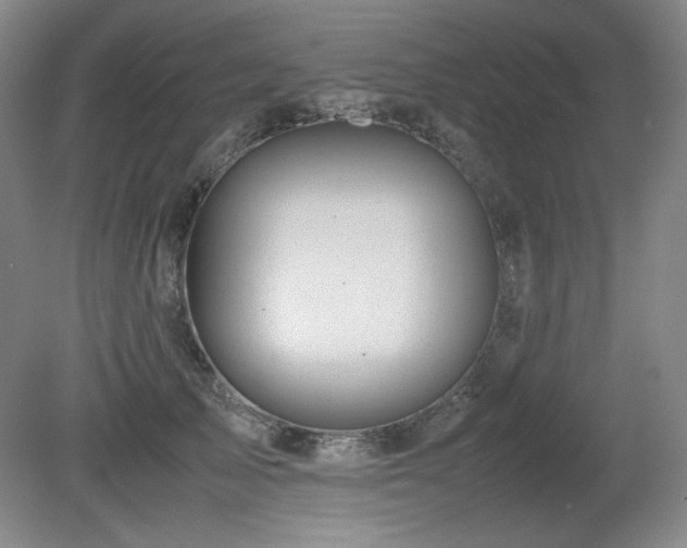 X0000081610705200701151405