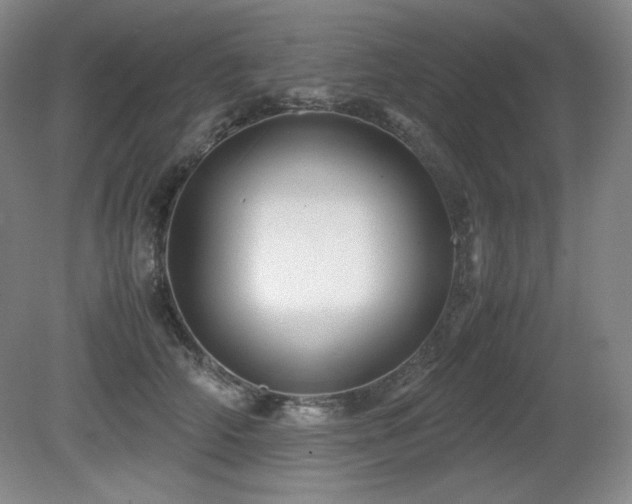 X0000081610706200701151405