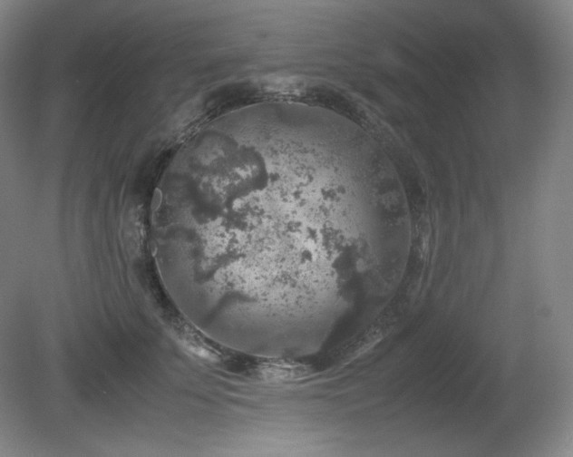 X0000081610707200701151405