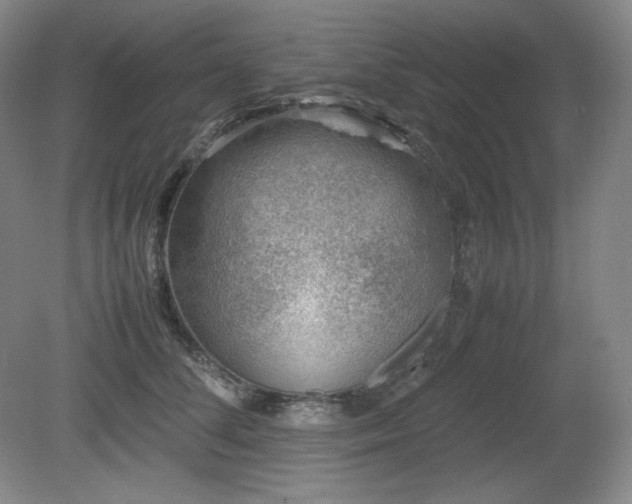 X0000081610708200701151405