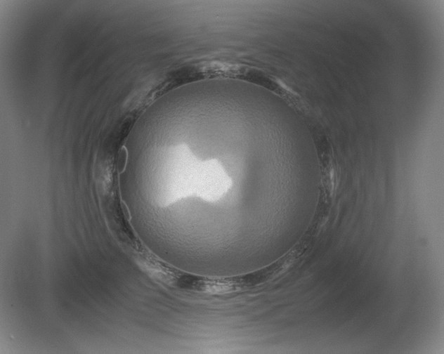 X0000081610709200701151405