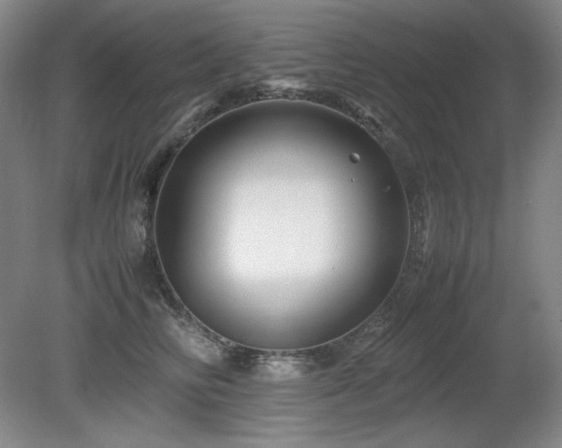 X0000081610710200701151405