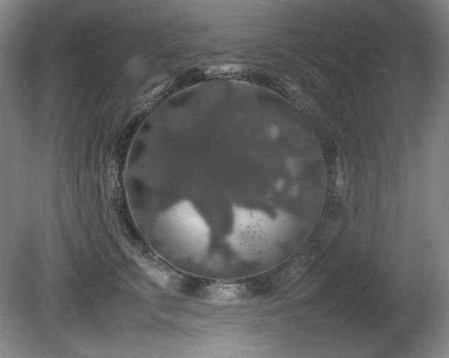 X0000081610711200701151405