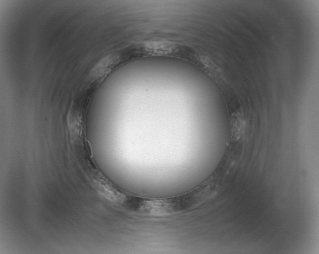 X0000081610713200701151405