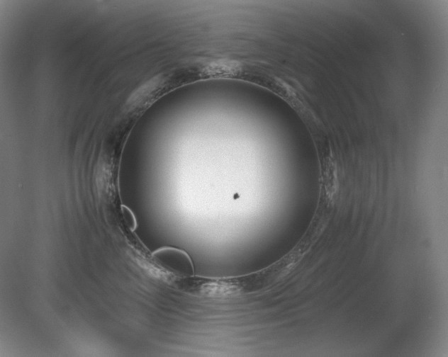 X0000081610714200701151405